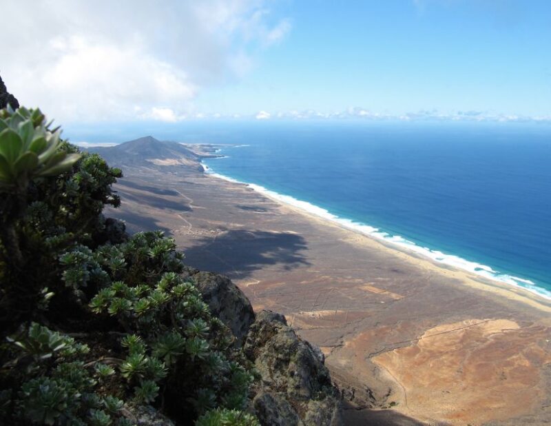 Fuerteventura: Pico De La Zarza Tour - Key Points