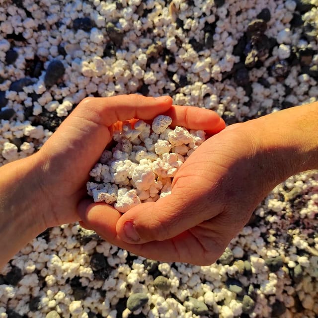 Fuerteventura : Pop Corn Beach, Lobo Island & Sand Dune Trip - Customer Reviews and Ratings