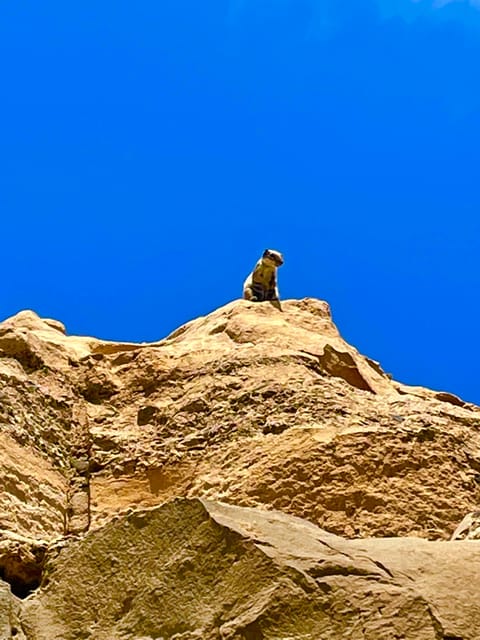 Fuerteventura: PRIVATE Guided Island Tour From the South. - Cancellation Policy