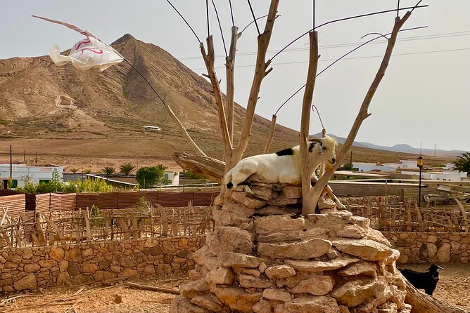 Fuerteventura: Private NORTH TOUR - Stunning Coastal Views