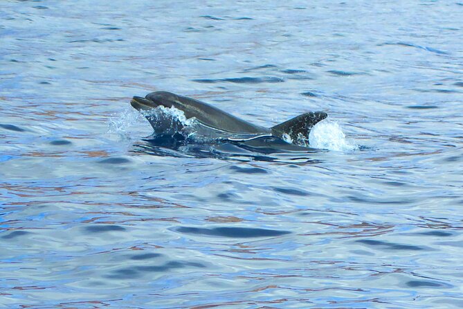 Fuerteventura Sailing Trip From Morro Jable - Snorkeling and Lunch Included