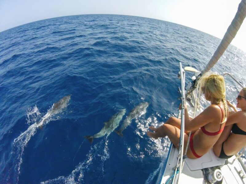Fuerteventura: Sailing With Snorkeling and Dolphin Watching - Preparing for the Excursion