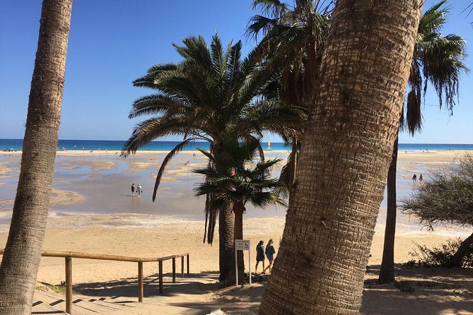 Fuerteventura South Exclusive Tour - White and Black-Sand Beaches