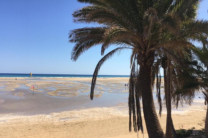 Fuerteventura South Exclusive Tour - Booking and Cancellation Policy