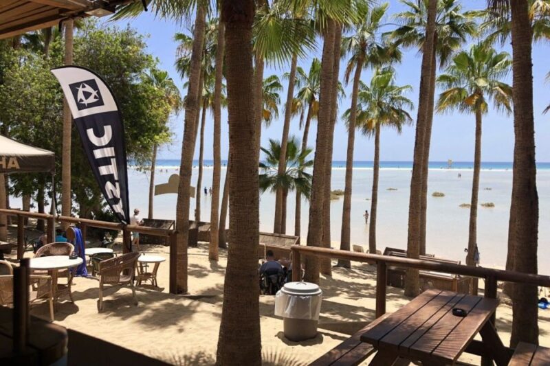 Fuerteventura South Full-Day Tour - Group Size and Accessibility