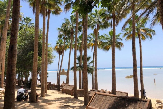 Fuerteventura South Full-Day Tour - Additional Information