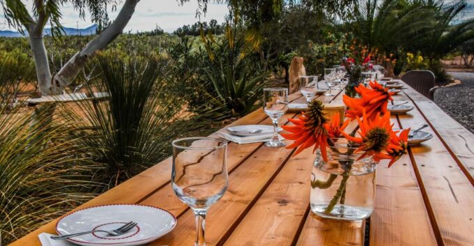 Fuerteventura: Tapas and Local Life Guided Tour - Cancellation Policy and What to Bring