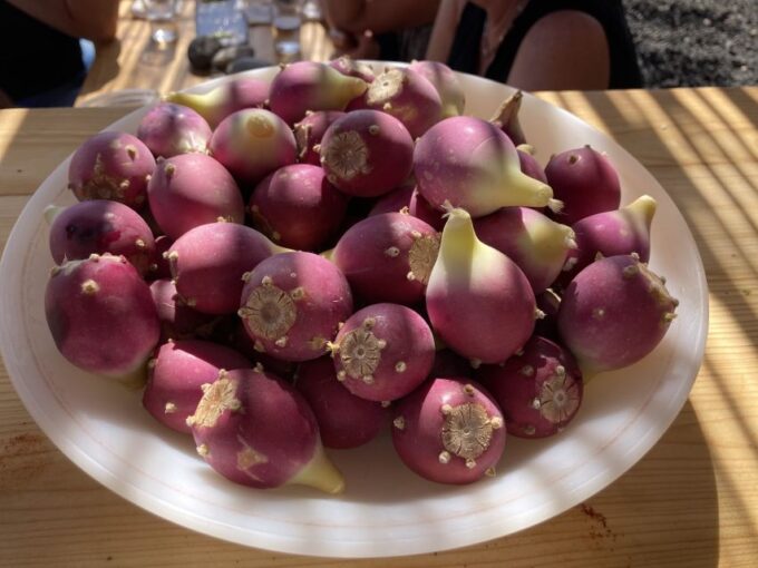 Fuerteventura: Tapas and Local Life Guided Tour - Frequently Asked Questions