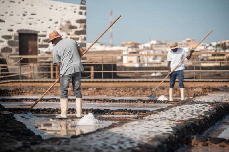 Fuerteventura: Tickets to Salt, Cheese and Windmill Museums - Key Points