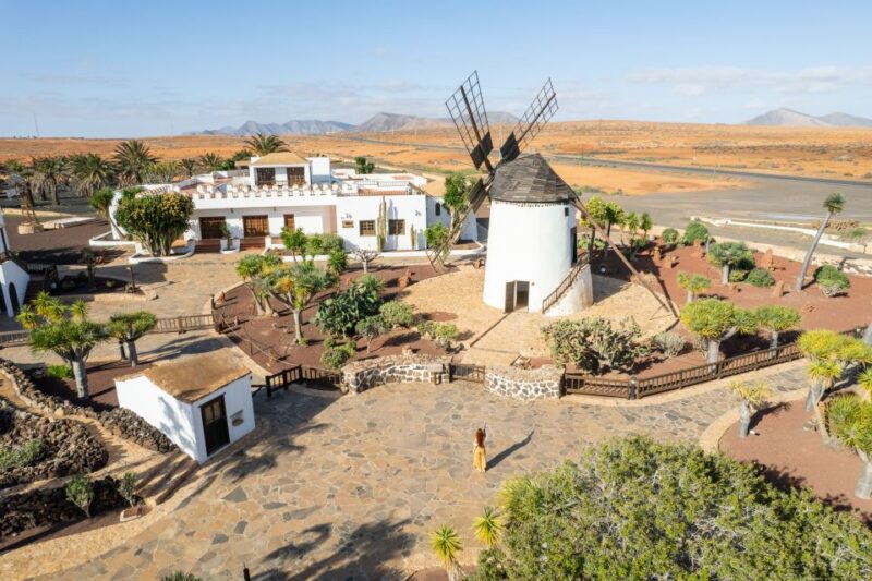 Fuerteventura: Tickets to Salt, Cheese and Windmill Museums - Salinas Del Carmen Exploration
