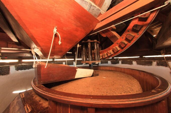 Fuerteventura: Tickets to Salt, Cheese and Windmill Museums - Convenient Locations and Accessibility