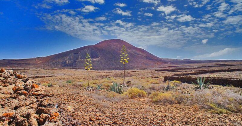 Fuerteventura: Trekking Tour Through the North of the Island - Included Features and Requirements