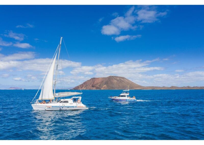 Fuerteventura: Whale & Dolphin Watching Boat Tour With Guide - Meeting Point and Directions