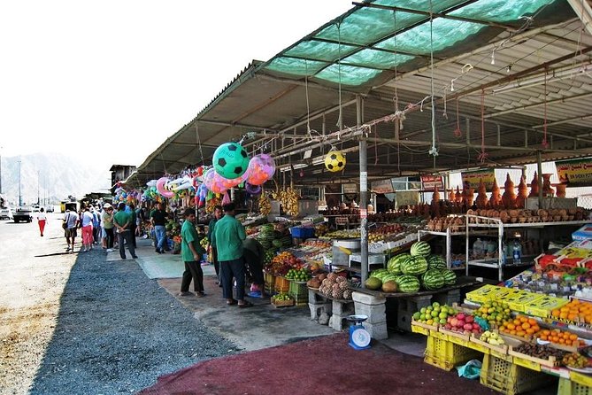 Fujairah Private Day Trip From Dubai With Lunch - Itinerary Highlights