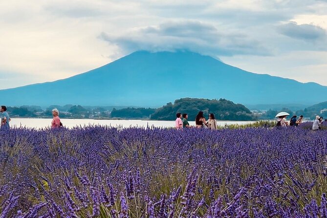 Fuji and Hakone Private Tour With English Guide and Photography - Fuji Mountain