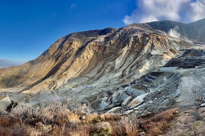 Fuji and Hakone Private Tour With English Guide and Photography - Hakone Region