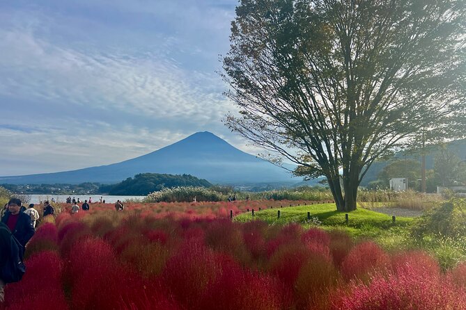 Fuji and Hakone Private Tour With English Guide and Photography - Booking and Cancellation Policies
