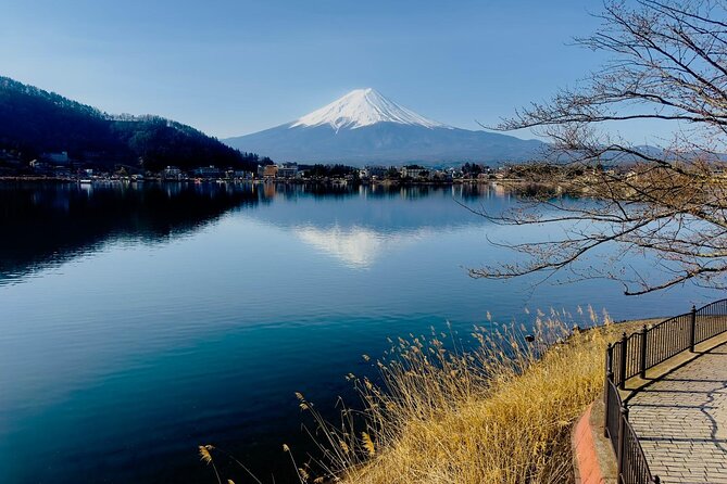 Fuji Hakone Cherry Blossom Private Tour - Itinerary