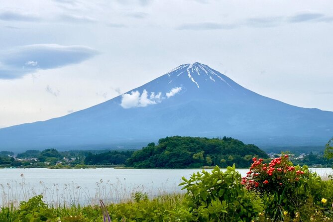 Fuji Hakone Cherry Blossom Private Tour - Meeting and Pickup