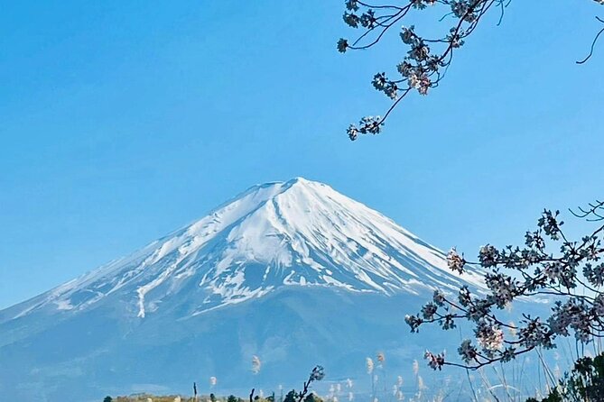 Fuji Hakone Cherry Blossom Private Tour - Cancellation and Booking