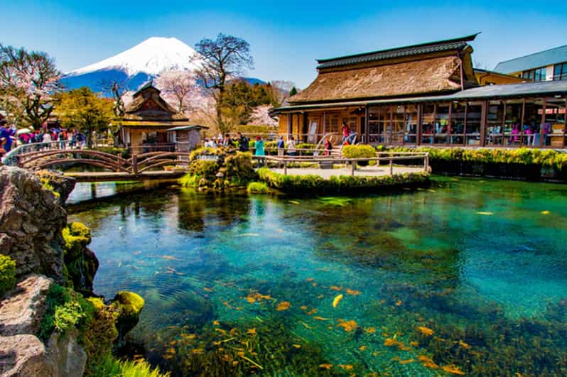 Fuji/Hakone Private Tour, English Speaking Guide, Photograph - Key Points