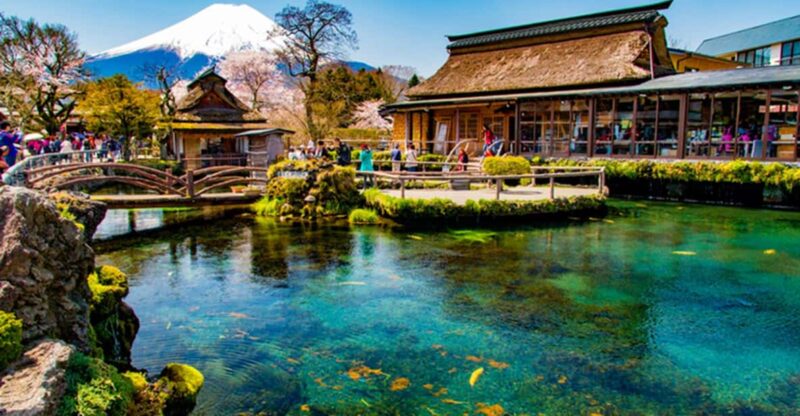 Fuji/Hakone Private Tour, English Speaking Guide, Photograph - Itinerary Highlights
