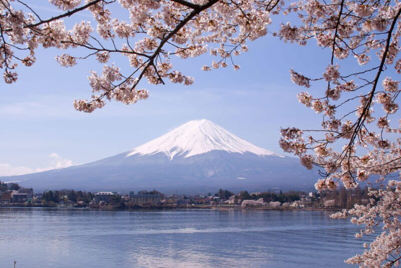 Fuji/Hakone Private Tour, English Speaking Guide, Photograph - Transportation and Accessibility