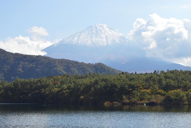 Fuji Kawaguchiko Hakone Private Car Tour - Accessibility and Infant Accommodations