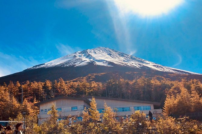Fuji Kawaguchiko Hakone Private Car Tour - Tour Reviews and Ratings