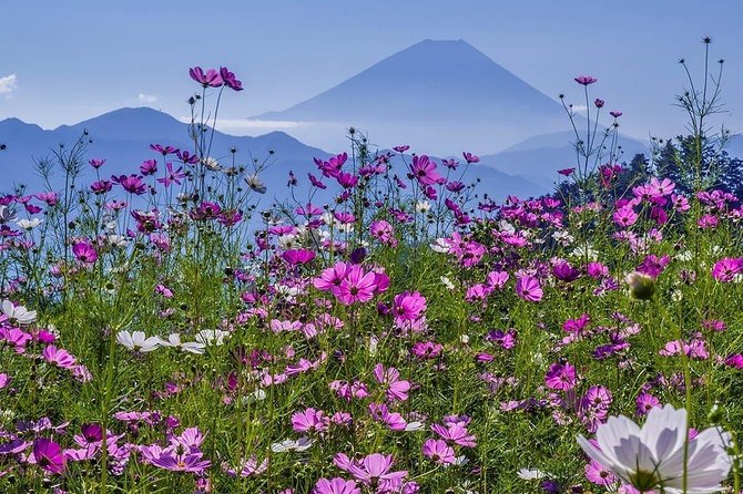Fuji Kawaguchiko Hakone Private Car Tour - Highlights of the Destinations