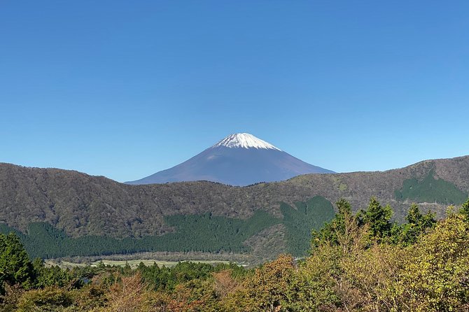 Fuji Kawaguchiko Hakone Private Car Tour - Inclusions and Exclusions