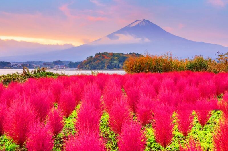 Fuji Kawaguchiko, Hot Spring, Wind & Ice Cave Adventure Day - Fuji Sengen Shrine