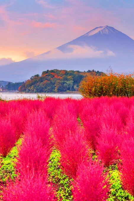 Fuji Kawaguchiko, Hot Spring, Wind & Ice Cave Adventure Day - Booking and Know Before You Go