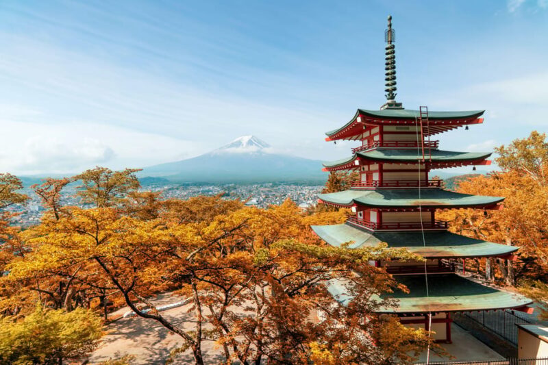 Fuji Mountain, Asama Park, West Lake Rinko Field Day Tour - Important Information