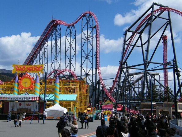 Fuji-Q Highland Amusement Park Private Tour With English Guide - Participant Requirements
