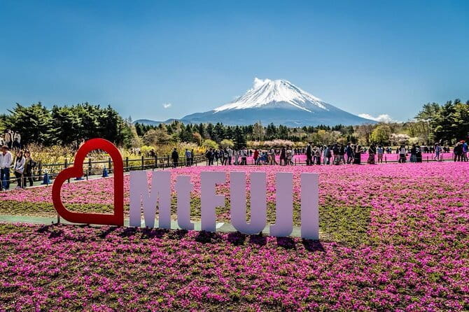 Fuji Sightseeing Tour (With English or Japanese Speaking Guide) - Booking Information