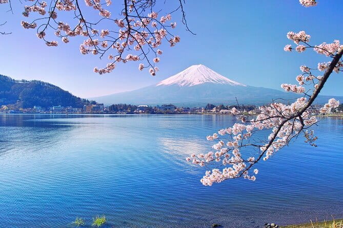 Fuji Sightseeing Tour (With English or Japanese Speaking Guide) - Experience Highlights