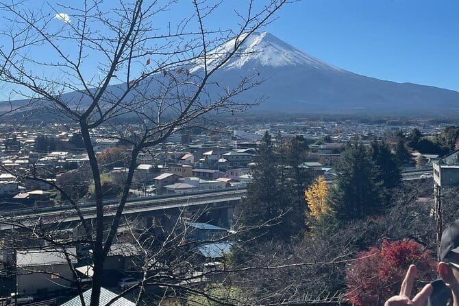 Fuji Sightseeing Tour (With English or Japanese Speaking Guide) - Things to Know