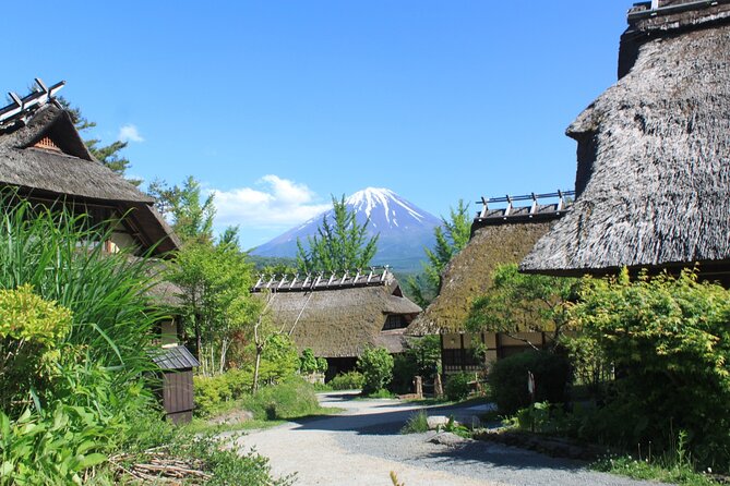 Fuji Spiritual Private Tour With Lunch and Dinner - Sparkling Wine Tasting