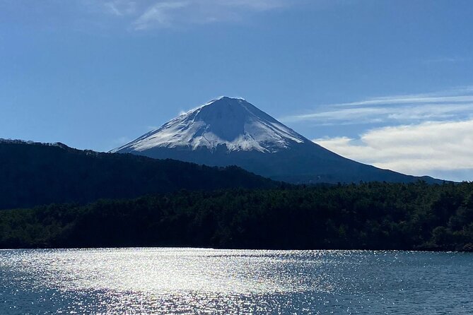 Fuji Spiritual Private Tour With Lunch and Dinner - Transportation and Accessibility