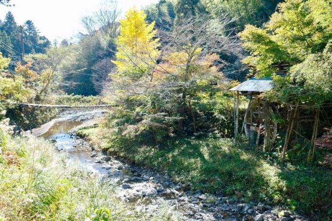 Fujieda: Suisha-mura Traditional Japanese Cooking Experience - Accommodating and Friendly Host