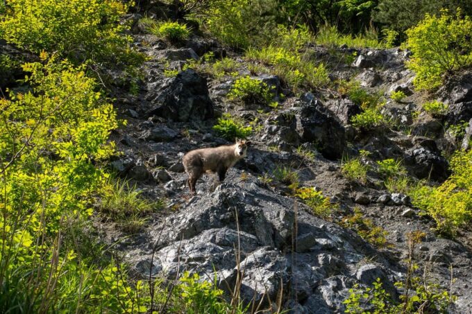 Fujiwara Lake: Full-day Stand-Up Paddleboarding (SUP) + Takaragawa Onsen Tour in Gunma - Frequently Asked Questions