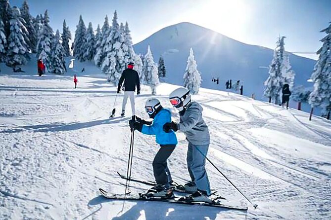 Fujiyama Snow Resort Yeti Winter Ski Day Tour From Tokyo Japan - Booking Information and Policies