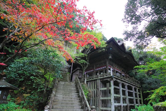 Fukui Full Day Photoshoot by Professional Photographer - Private Tour and Exclusivity