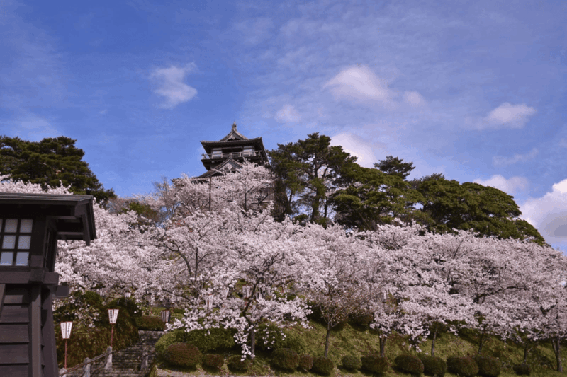 Fukui: Maruoka Castle Admission Ticket - Key Points