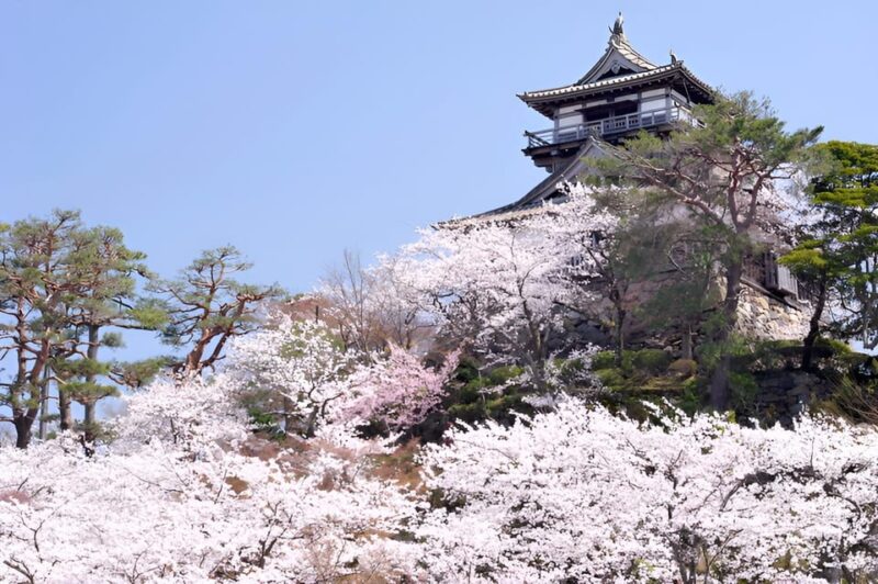 Fukui: Maruoka Castle Admission Ticket - Historical Significance