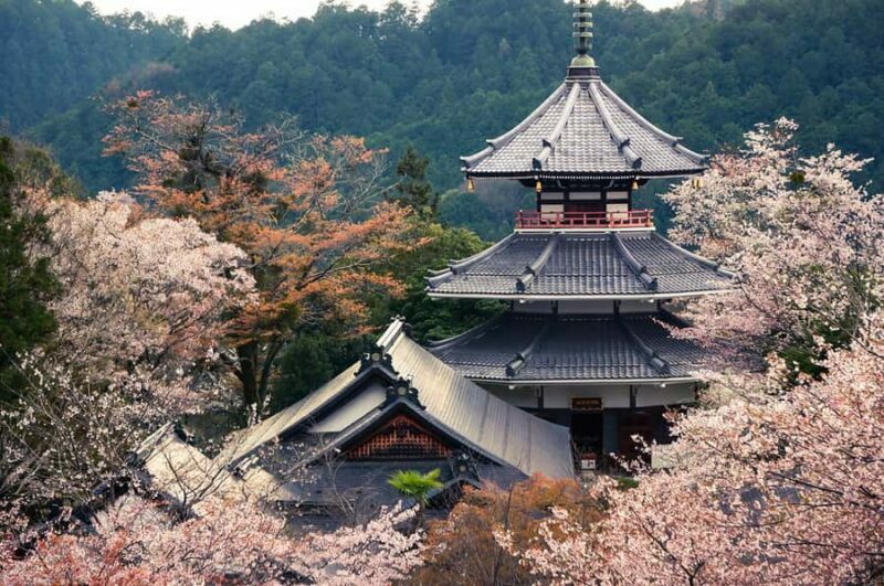 Fukuoka: Beppu Hells HotSpring, Frog Temple & Yufuin DayTrip - Introduction