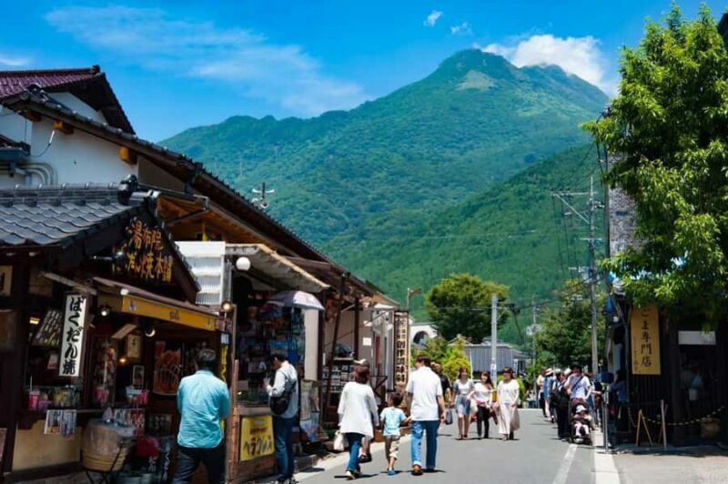 Fukuoka: Beppu Hells HotSpring, Frog Temple & Yufuin DayTrip - The Quirky Frog Temple