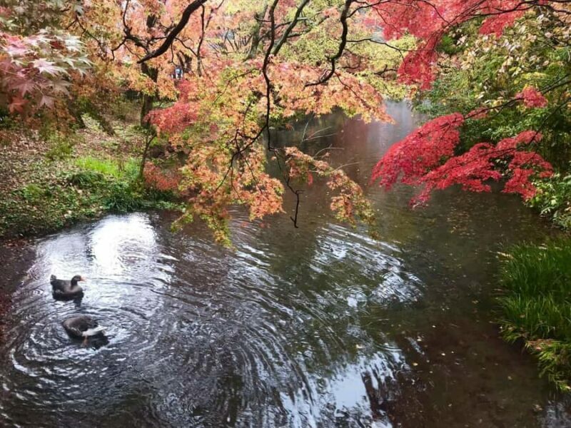 Fukuoka: Beppu Hells HotSpring, Frog Temple & Yufuin DayTrip - Enchanting Yufuin: Village and Lake