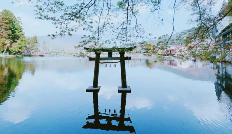 Fukuoka: Beppu Hells HotSpring, Frog Temple & Yufuin DayTrip - The Sum Up